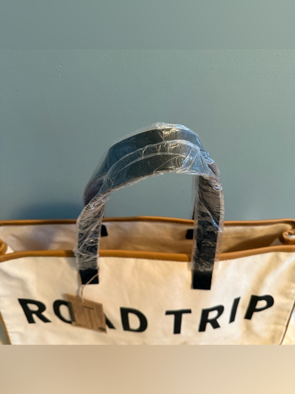 Santa Barbara Design Studio Hold Everything Canvas Road Trip Tote - Picture 8 of 9